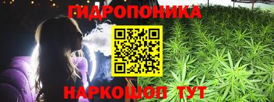 крисы Пыть-Ях