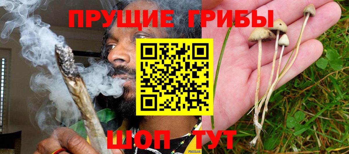 Спасск-Дальний  Псилоцибиновые грибы Magic Shrooms  Вход с VPN 