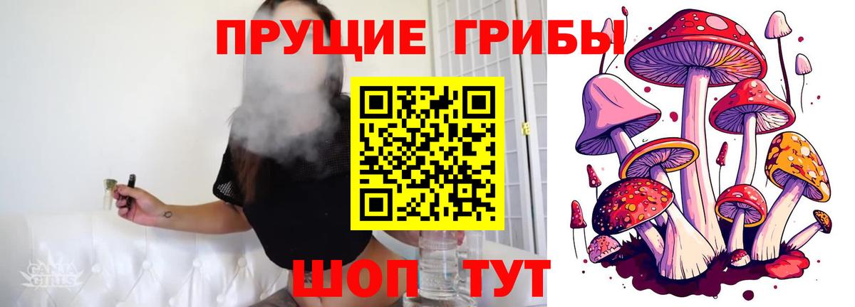 Галлюциногенные грибы мухоморы Спасск-Дальний